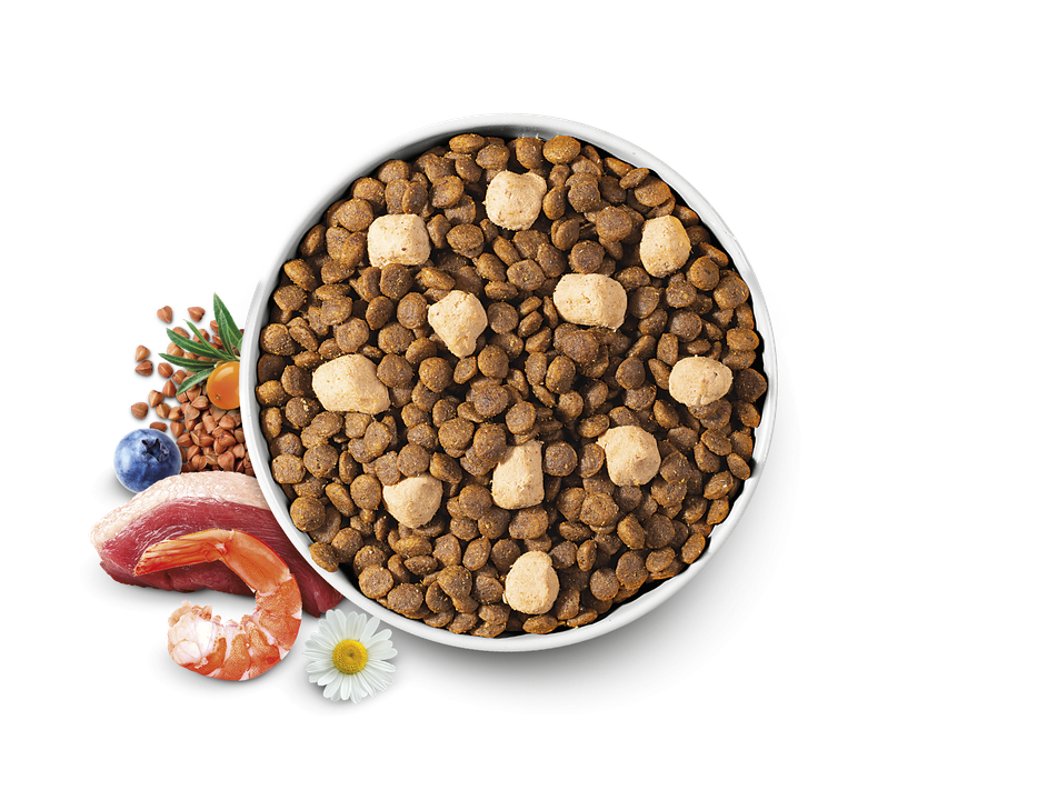 BC_MINI_FD_RAW_DELIGHTS_TURKEY_WITH_SHRIMPS_2KG_1